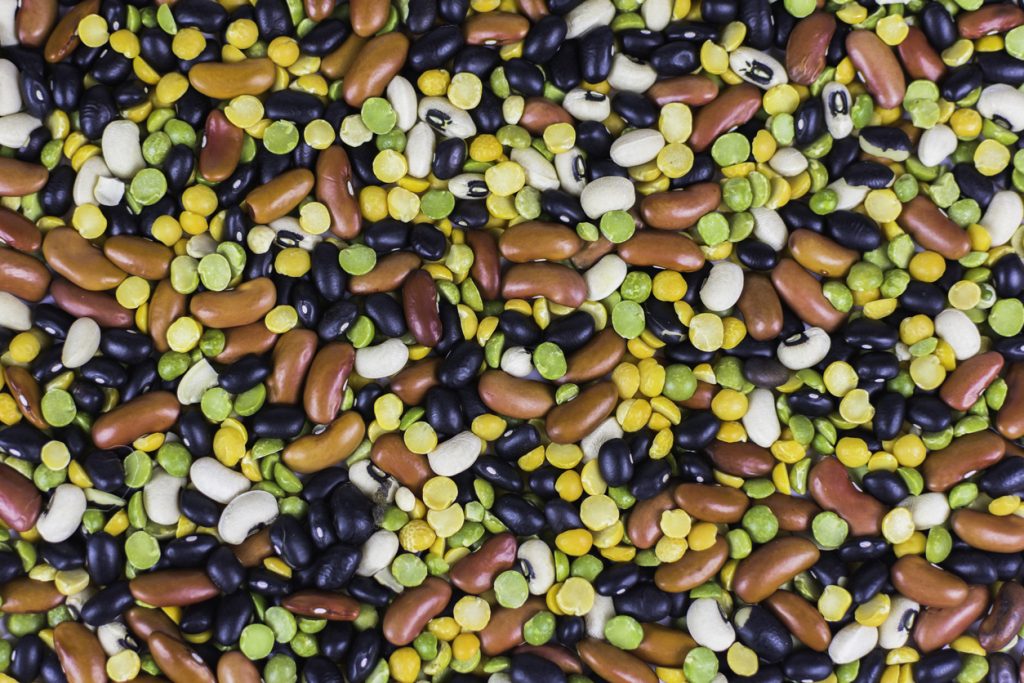We Bust the Myths - Why You Should Give Good Carbs a Chance