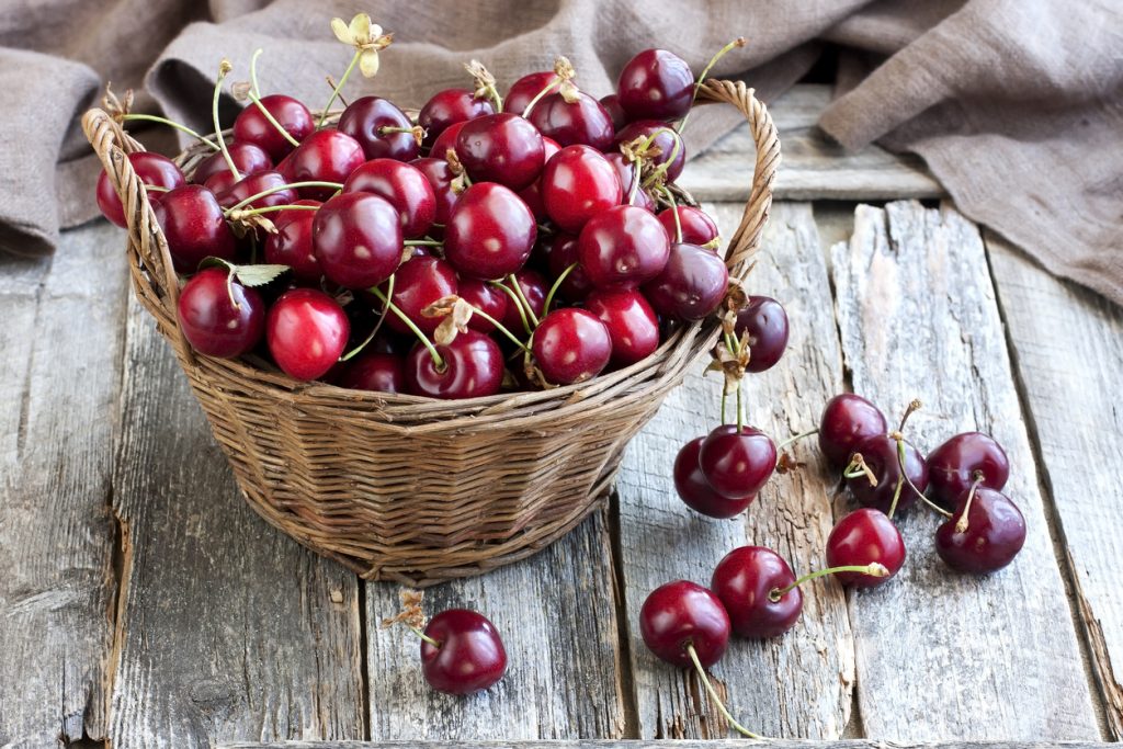 Have a Snooze Fest: What Foods Help You Sleep Better? Have a Snooze Fest: What Foods Help You Sleep Better?